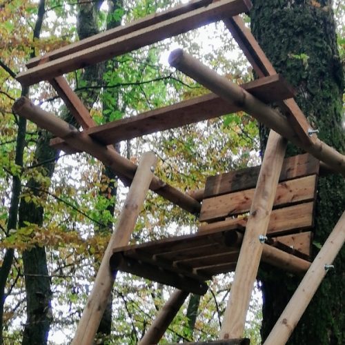 к_дереву_4м_03