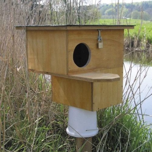 Утиные_гнезда_01